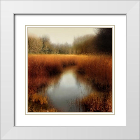 Sunlit Pond II White Modern Wood Framed Art Print with Double Matting by Clark, Madeline