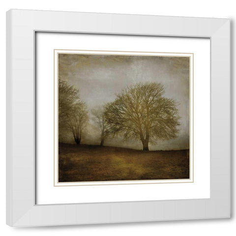 Morning Meditation II White Modern Wood Framed Art Print with Double Matting by Clark, Madeline