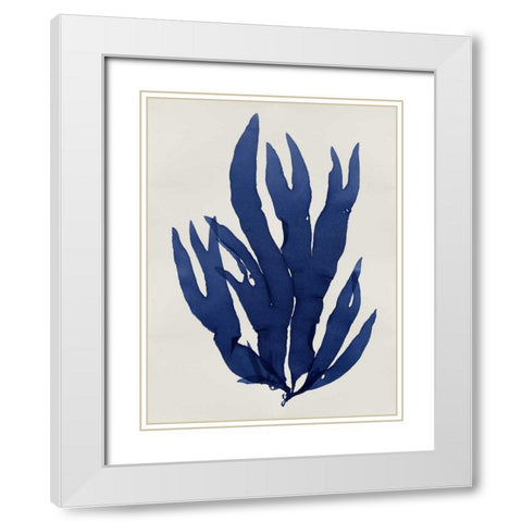 Sea Life - Indigo III White Modern Wood Framed Art Print with Double Matting by Miller, Melonie