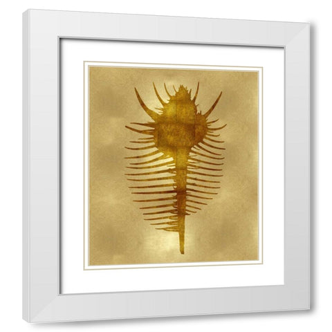 Sea Life - Gold VI White Modern Wood Framed Art Print with Double Matting by Miller, Melonie