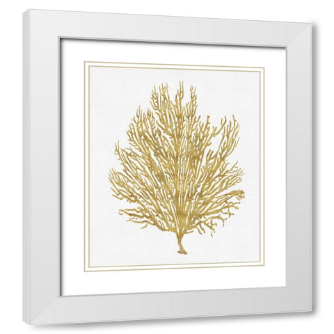 Sea Life - Gold on White V White Modern Wood Framed Art Print with Double Matting by Miller, Melonie