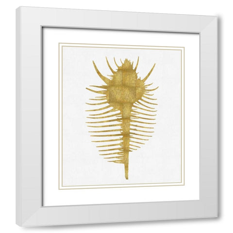 Sea Life - Gold on White VI White Modern Wood Framed Art Print with Double Matting by Miller, Melonie