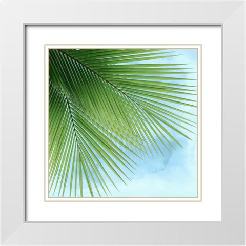 Palm on Blue VI White Modern Wood Framed Art Print with Double Matting by Jensen, Mia