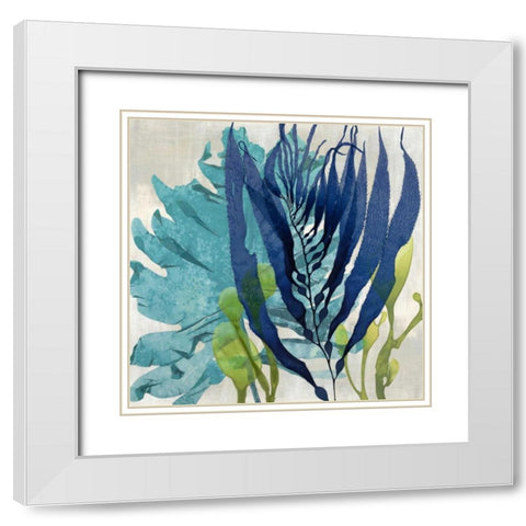 Sea Nature II White Modern Wood Framed Art Print with Double Matting by Miller, Melonie