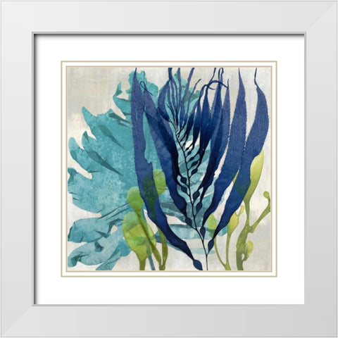 Sea Nature II White Modern Wood Framed Art Print with Double Matting by Miller, Melonie