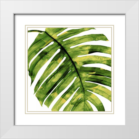 Tropical Palm II White Modern Wood Framed Art Print with Double Matting by Miller, Melonie