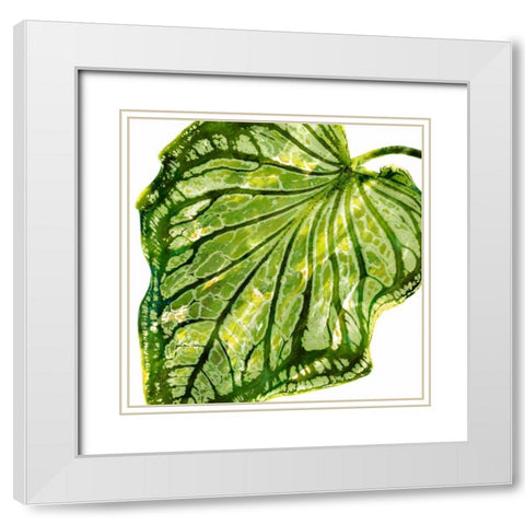 Tropical Palm III White Modern Wood Framed Art Print with Double Matting by Miller, Melonie