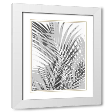 Palm Shadows III White Modern Wood Framed Art Print with Double Matting by Miller, Melonie