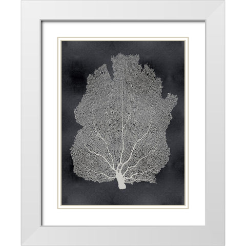 Sea Fan on Black I White Modern Wood Framed Art Print with Double Matting by Miller, Melonie