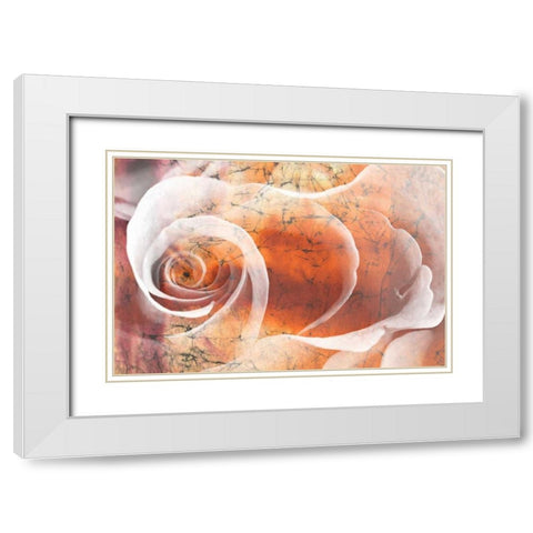 Floral Collaboration II White Modern Wood Framed Art Print with Double Matting by Oppenheimer, Michelle