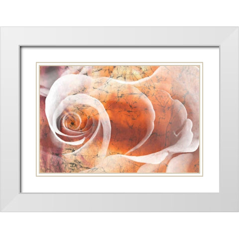 Floral Collaboration II White Modern Wood Framed Art Print with Double Matting by Oppenheimer, Michelle
