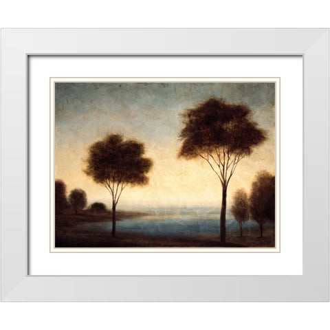 Water Dreams I White Modern Wood Framed Art Print with Double Matting by Thomas, Neil