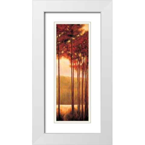 Through the Woods II White Modern Wood Framed Art Print with Double Matting by Thomas, Neil