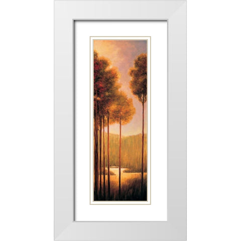 Through the Woods III White Modern Wood Framed Art Print with Double Matting by Thomas, Neil