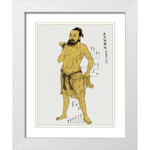 Vintage Acupunture White Modern Wood Framed Art Print with Double Matting by Jeffries, Oliver