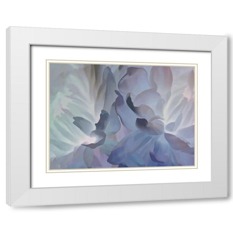 Chrysanthemum VI White Modern Wood Framed Art Print with Double Matting by Pollard, David