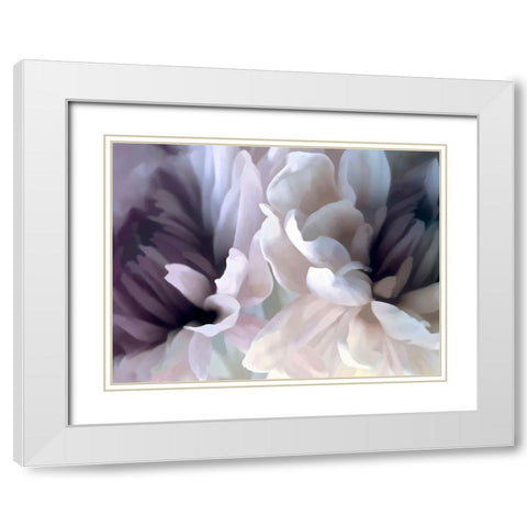Chrysanthemum X White Modern Wood Framed Art Print with Double Matting by Pollard, David
