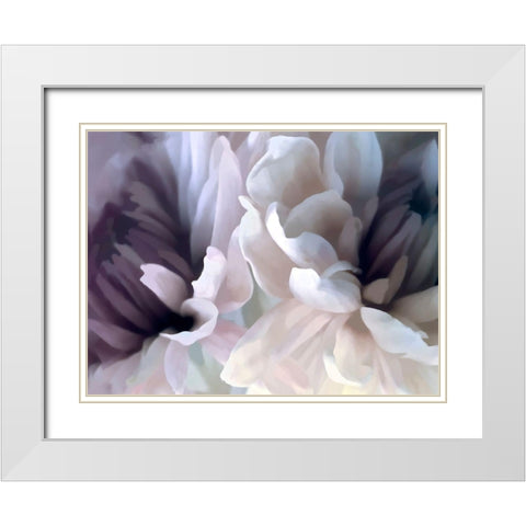 Chrysanthemum X White Modern Wood Framed Art Print with Double Matting by Pollard, David