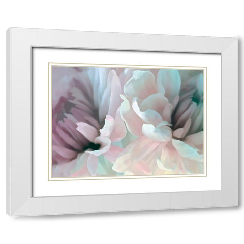 Chrysanthemum XIII White Modern Wood Framed Art Print with Double Matting by Pollard, David