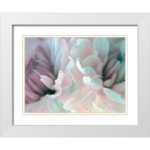 Chrysanthemum XIII White Modern Wood Framed Art Print with Double Matting by Pollard, David