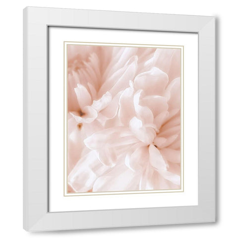 Chrysanthemum Pale Sepia II White Modern Wood Framed Art Print with Double Matting by Pollard, David