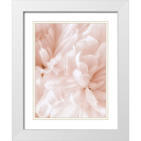 Chrysanthemum Pale Sepia II White Modern Wood Framed Art Print with Double Matting by Pollard, David