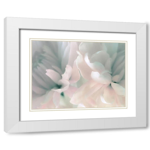 Chrysanthemum Pink and Cyan III White Modern Wood Framed Art Print with Double Matting by Pollard, David