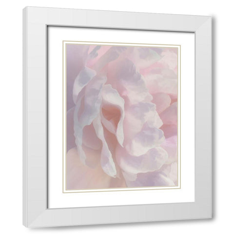 Peony Pink Blush II White Modern Wood Framed Art Print with Double Matting by Pollard, David