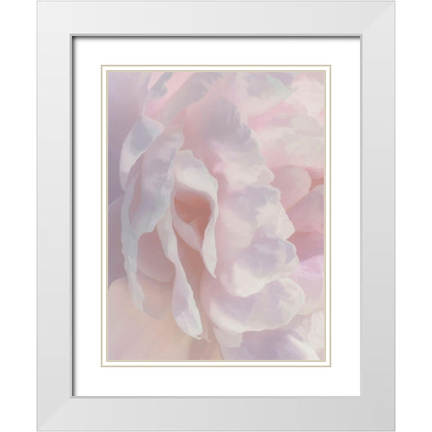 Peony Pink Blush II White Modern Wood Framed Art Print with Double Matting by Pollard, David