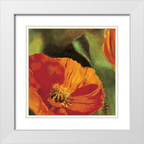 Coquelicots dans le soleil 2 White Modern Wood Framed Art Print with Double Matting by Viollet, Pierre