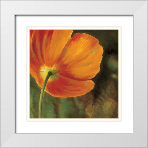 Coquelicots dans le soleil 3 White Modern Wood Framed Art Print with Double Matting by Viollet, Pierre
