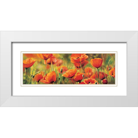 Symphonie de coquelicots White Modern Wood Framed Art Print with Double Matting by Viollet, Pierre