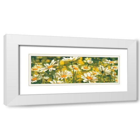Melodie de marguerites White Modern Wood Framed Art Print with Double Matting by Viollet, Pierre