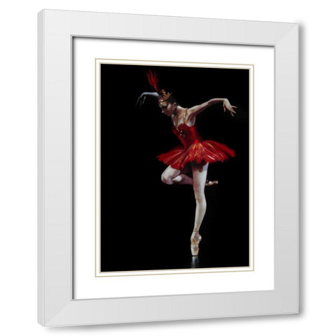 Flamingo Dancer White Modern Wood Framed Art Print with Double Matting by Di Scenza, Ron