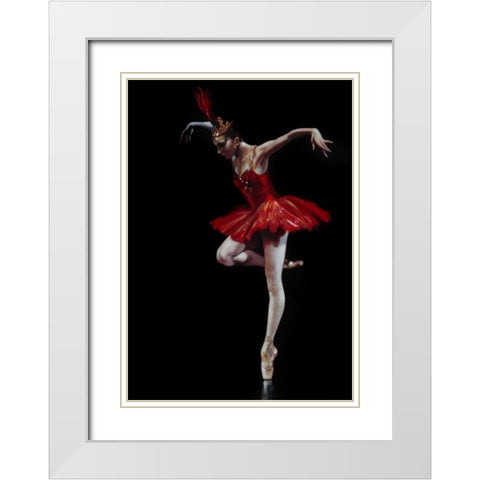 Flamingo Dancer White Modern Wood Framed Art Print with Double Matting by Di Scenza, Ron