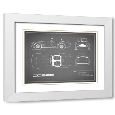 Cobra-Grey White Modern Wood Framed Art Print with Double Matting by Rogan, Mark