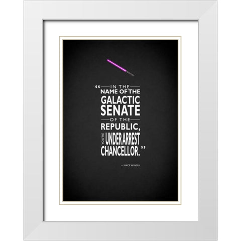 Mace-Windu Under-Arrest White Modern Wood Framed Art Print with Double Matting by Rogan, Mark