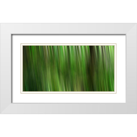 Tree motion White Modern Wood Framed Art Print with Double Matting by Plank, Savanah