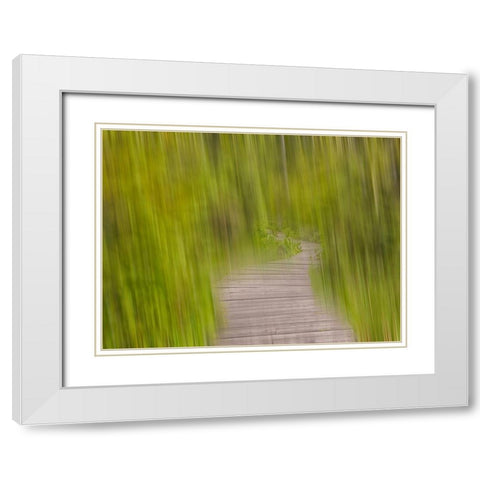 North America, Canada, Queen C White Modern Wood Framed Art Print with Double Matting by Plank, Savanah