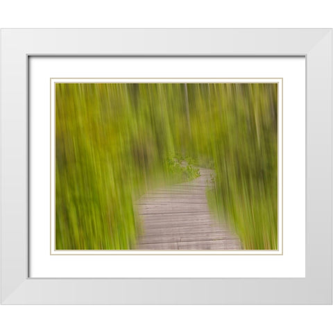 North America, Canada, Queen C White Modern Wood Framed Art Print with Double Matting by Plank, Savanah