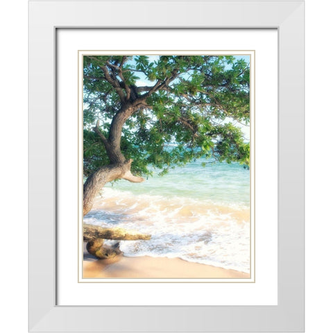USA, Hawaii, Kauai White Modern Wood Framed Art Print with Double Matting by Plank, Savanah
