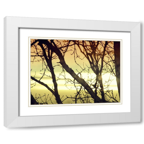 Aspen Sunset White Modern Wood Framed Art Print with Double Matting by Plank, Savanah
