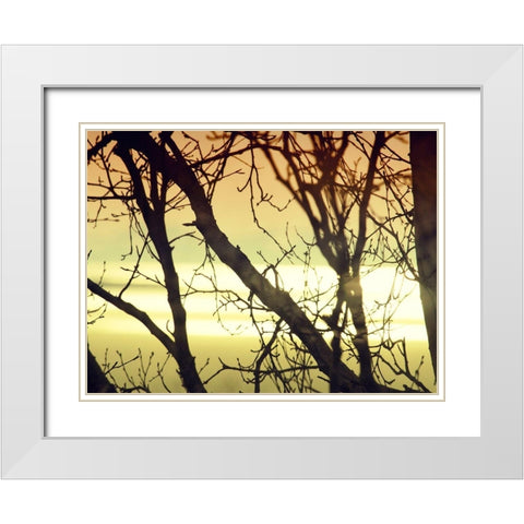 Aspen Sunset White Modern Wood Framed Art Print with Double Matting by Plank, Savanah