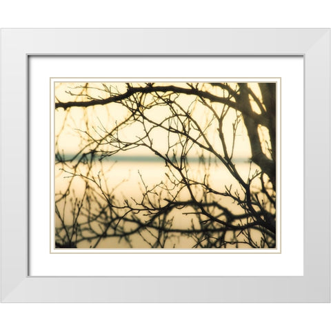 Aspen Sunset White Modern Wood Framed Art Print with Double Matting by Plank, Savanah