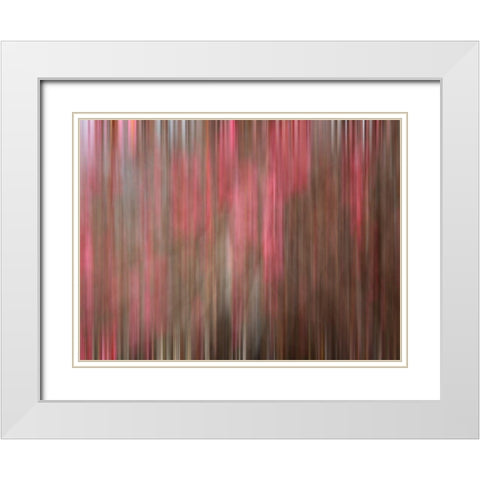 Crabapple Tree blossoms White Modern Wood Framed Art Print with Double Matting by Plank, Savanah