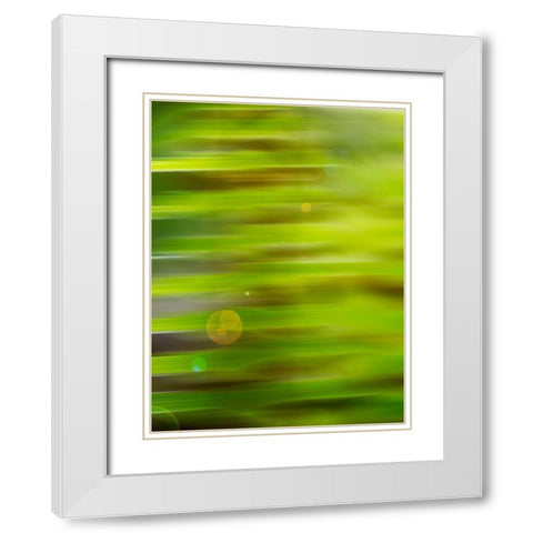 Abstract green flora White Modern Wood Framed Art Print with Double Matting by Plank, Savanah