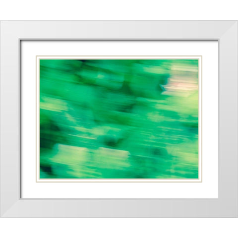Flora Motion White Modern Wood Framed Art Print with Double Matting by Plank, Savanah