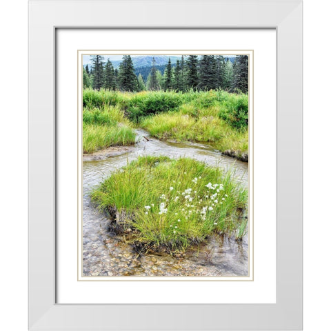 Alaska marshland White Modern Wood Framed Art Print with Double Matting by Plank, Savanah