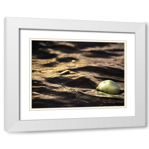 USA, Southeast Alaska, Ketchik White Modern Wood Framed Art Print with Double Matting by Plank, Savanah