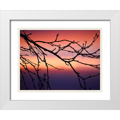 Abstract Sunset White Modern Wood Framed Art Print with Double Matting by Plank, Savanah